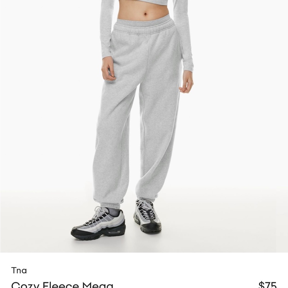Tna sweatpants Aritiza